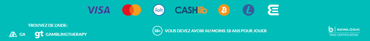 Méthodes de paiement et logos partenaires Lucky Treasure Casino
